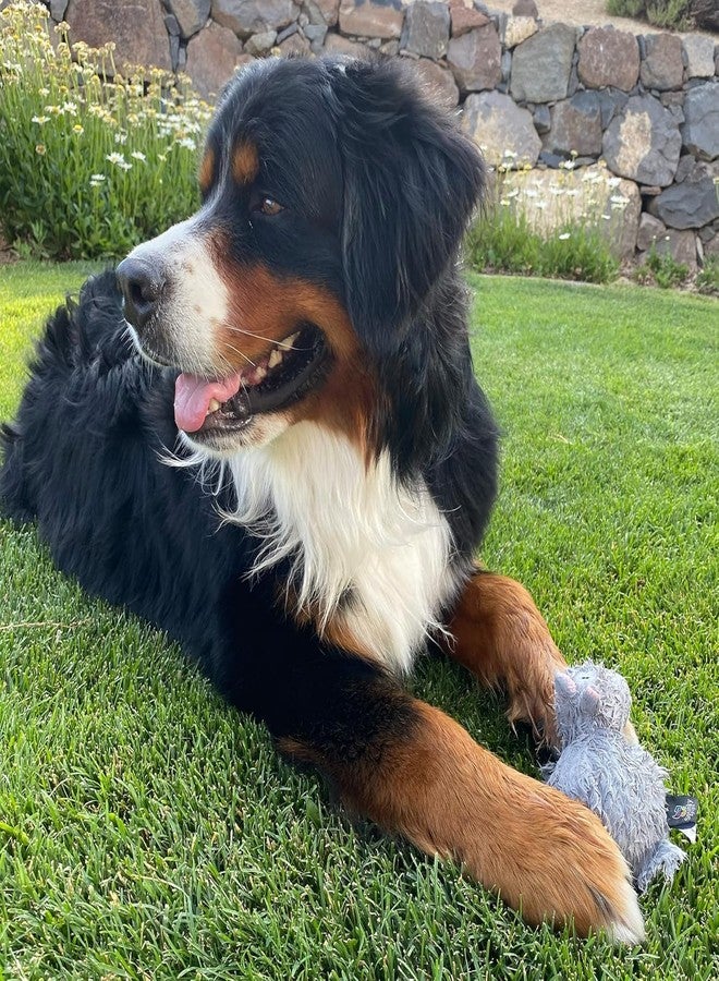 Spunky pup Hippo with Ball Squeaker Dog Toy | Cuddle Crinkle Crunching Sound and Squeaky Dog Toys | Nylon Reinforced Plush Toy | Toss Fetch and Play | Furry Friends Collection | For All Size Breeds - Image 3